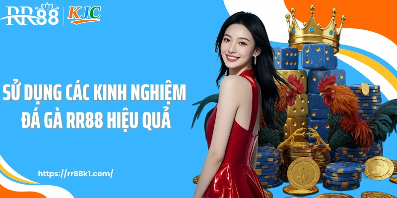 Sử dụng các kinh nghiệm đá gà RR88 hiệu quả
